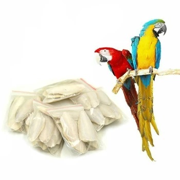 

Parrot Toys Cuttlefish Bone Parrot Chew Toy for Pet Budgie Birds Reptiles Tortoise Pet Calcium Health Care Products 1 Bag
