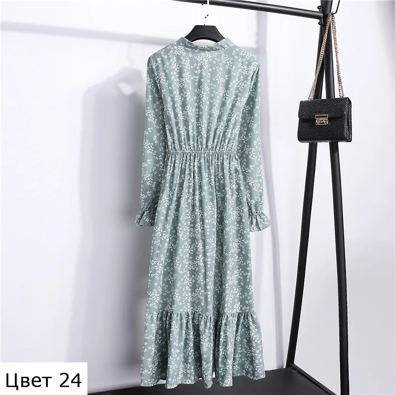 Color 24-1