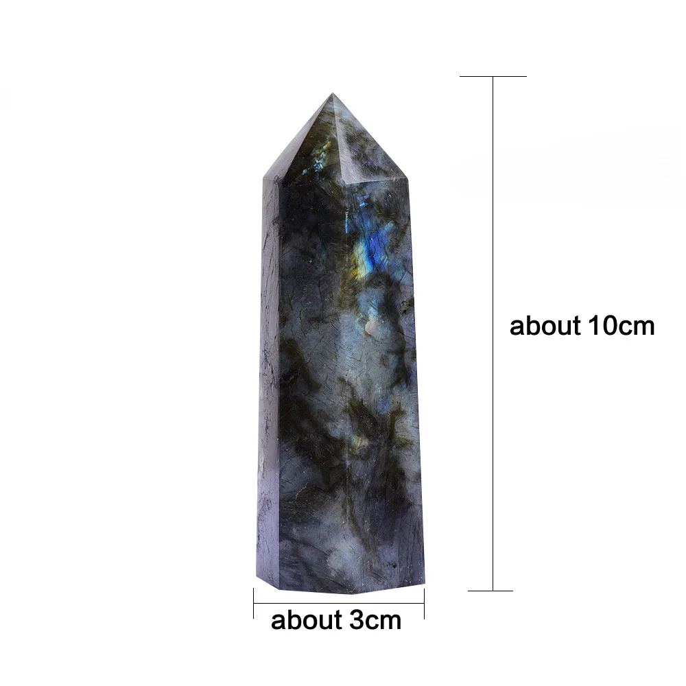 size (6)