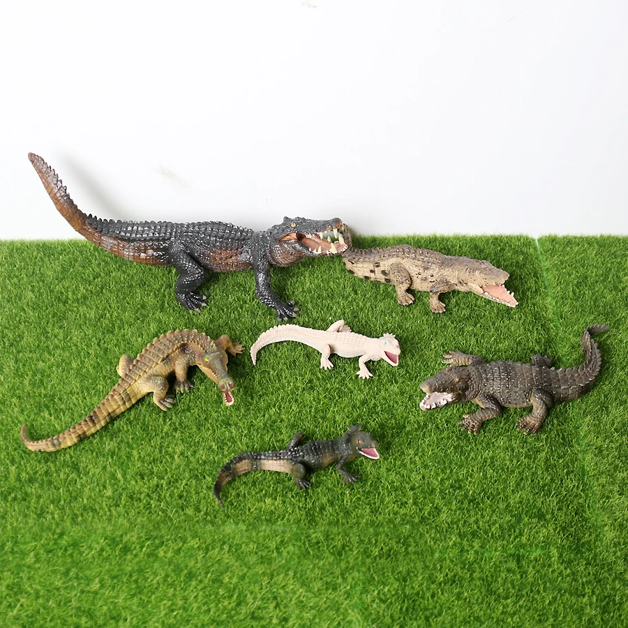 crocodile