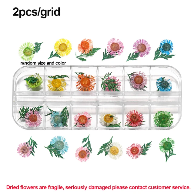 1Box Dried Flowers Dry Plants for Rsein Molds Fillings Epoxy Resin Pendant Tweezers Jewelry Making Craft DIY Nail Art Decoration Style24