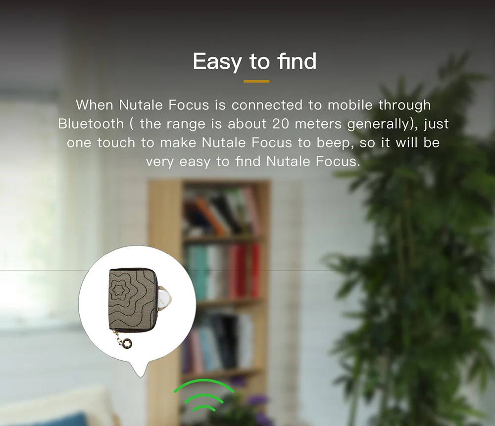 Nut-focus_EN_05