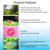 3 4 th Bluetooth Chihiros Doctor Twinstar Aquarium Alges Remover Water Fish Tank Cleaning Tool Аксессуары для растений Креветки