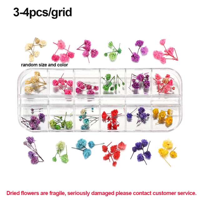 1Box Dried Flowers Dry Plants for Rsein Molds Fillings Epoxy Resin Pendant Tweezers Jewelry Making Craft DIY Nail Art Decoration Style 13