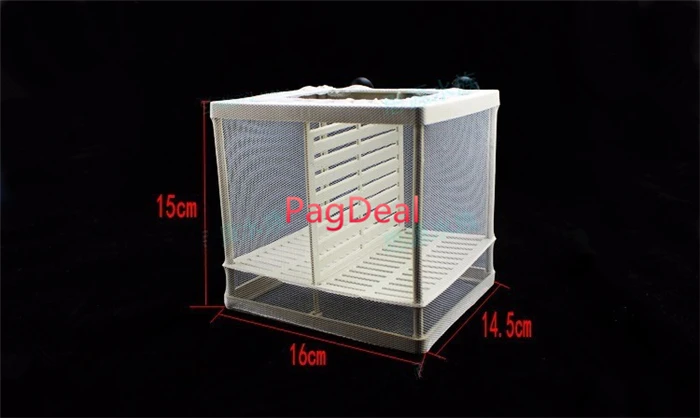 Fish Breeding Box3