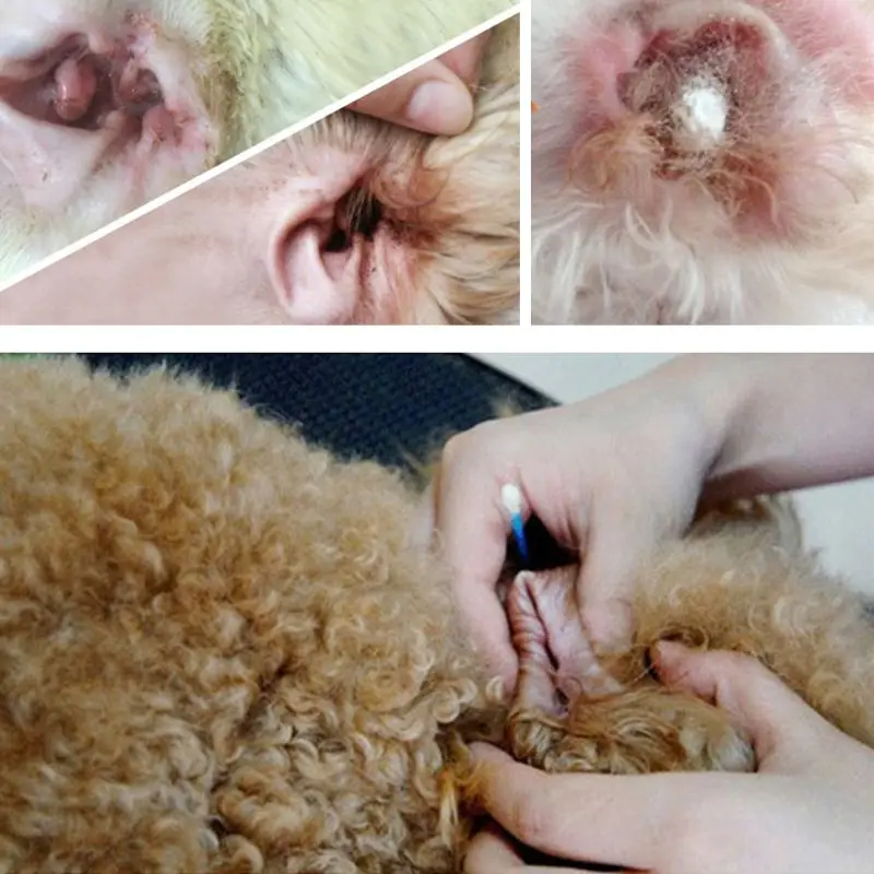 Pet чистый ушной порошок кошка собака уход за ушным каналом чистый уход за здоровьем порошок Домашние животные уход за ушами принадлежности 090C