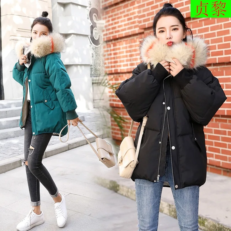 

2018 Winter Da Mao with Hat Cotton Coat Short-height down Feather Cotton-padded Clothes WOMEN'S Medium-sized Thick Cotton-padded