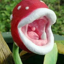 Насекомых привлекают внимание завод волшебница хищных завод стол горшок бонсай растения Slurperon сад, 100 шт./пакет