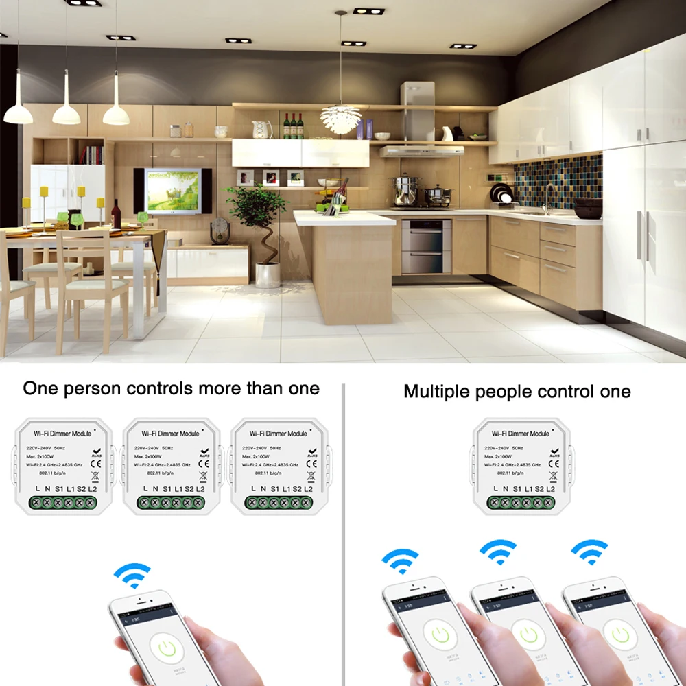 

2 Way Light LED Hidden Dimming WiFi Switch Module Mobile APP Remote Control Work with Alexa Google Home