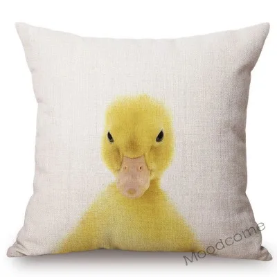 conew_t215 (25) 副本