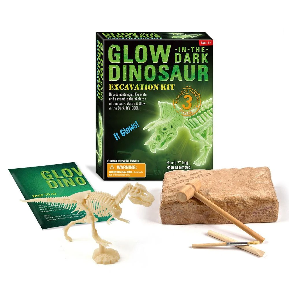 children's paleontology kit