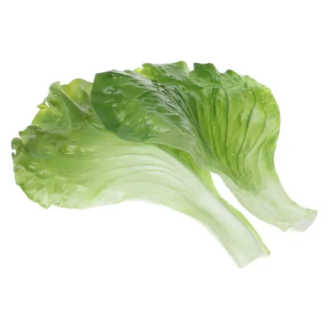 5 x Artificial Lettuce Leaves