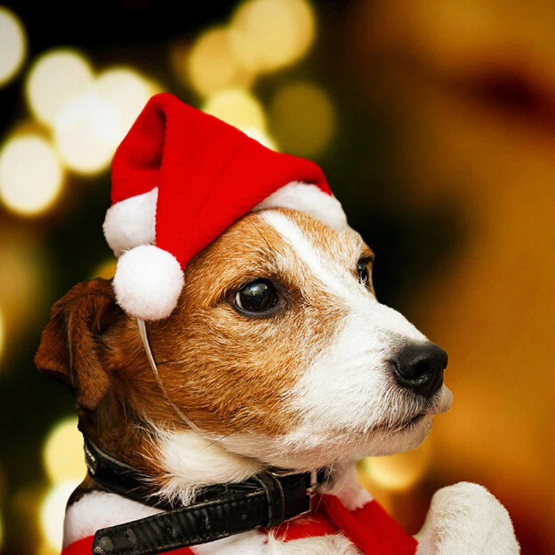 Christmas Pet Santa Hat Small Puppy Cat Dog Xmas Holiday Costume Ornaments christmas beanie hat