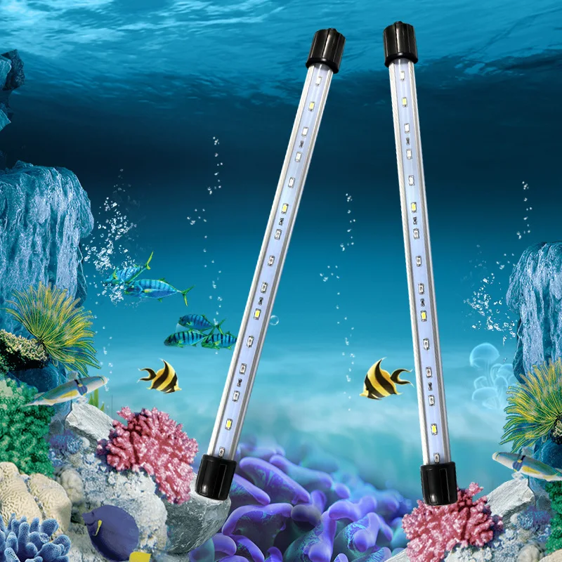 4494816129_1074237706