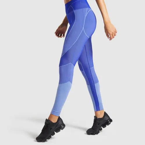 Женский бесшовный комплект для йоги, топы для йоги, штаны, одежда для фитнеса, спортивная одежда, одежда для спортзала, рубашки с длинным рукавом, 2 шт. костюмы - Цвет: blue pant