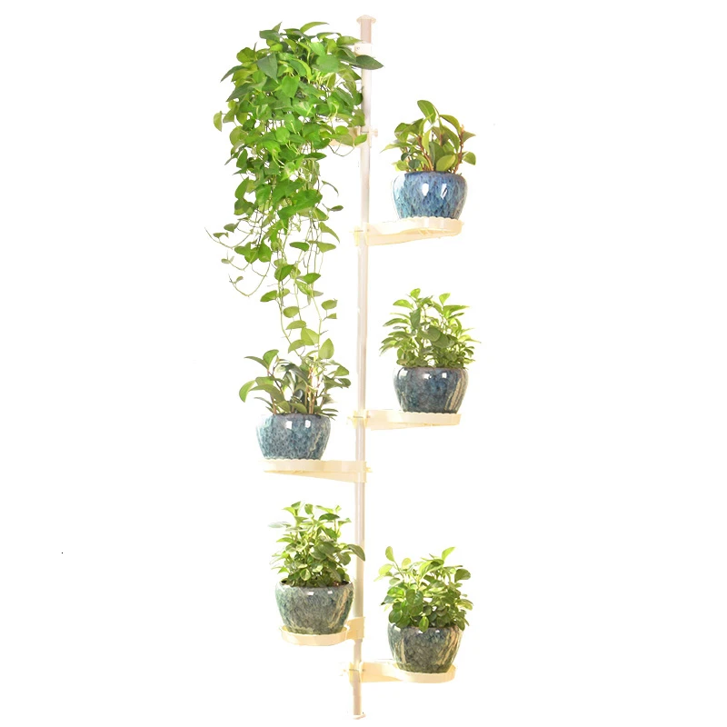 

Frame Of Indomitable Spirit Multi-storey Indoor Balcony A Living Room Green Radish Meat Flowerpot Frame Windowsill Flower Airs