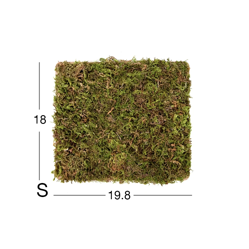 Moss mat-173