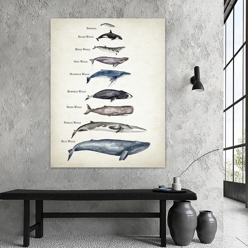 Whales Size Comparison Chart Print Whale Watercolor Painting Child Educational  Poster Nursery Wall Art Pictures Kids Room Decor - AliExpress