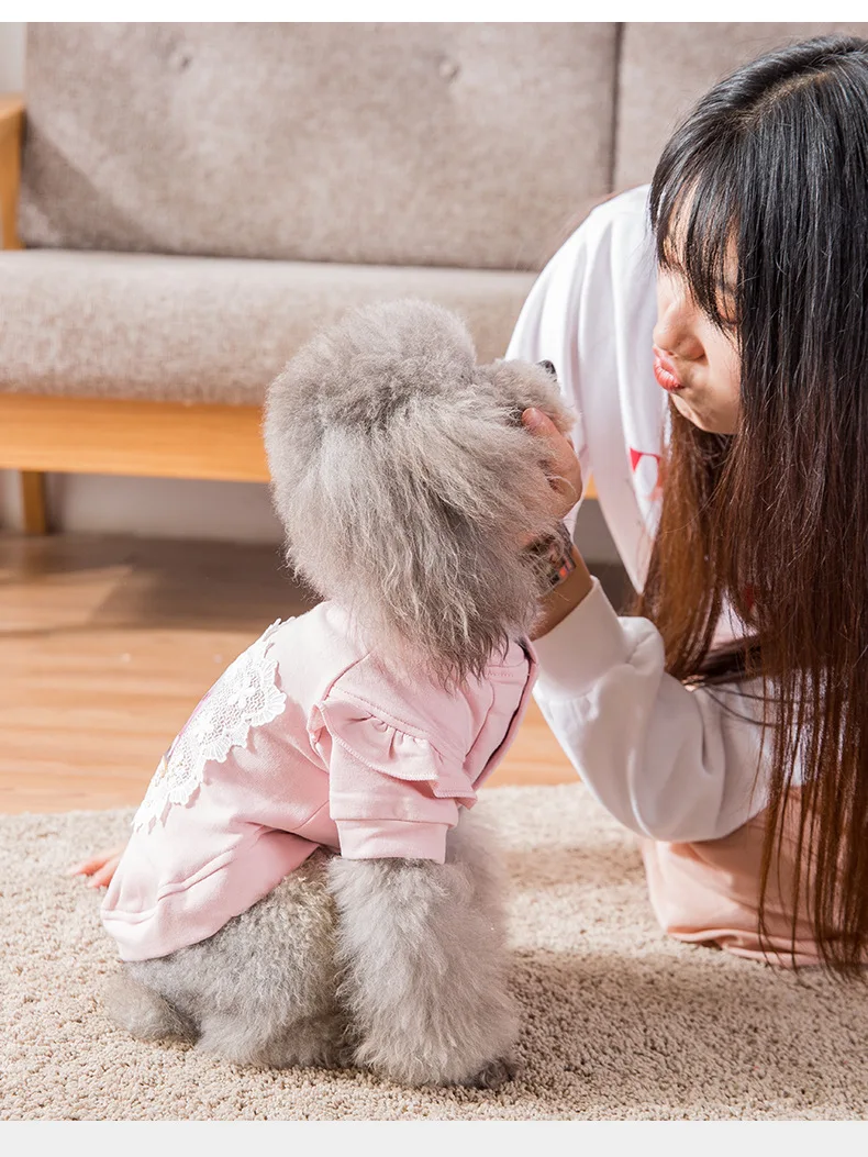 Spring and Autumn Leisure Styles Pet Dog Clothing Fashion Can Be Comfortable Breathable The Two Feet Garments Small Dog Clothing