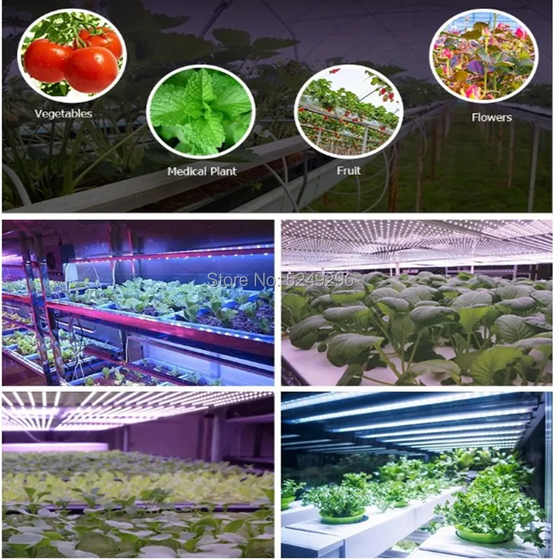 Светодиодный Grow светильник LM301B samsung SK 3000K 3500K T8Tube 50 Вт бар полный спектр комнатное растение лампы для гидропоника, шатер для выращивания 30 см 5 шт./лот