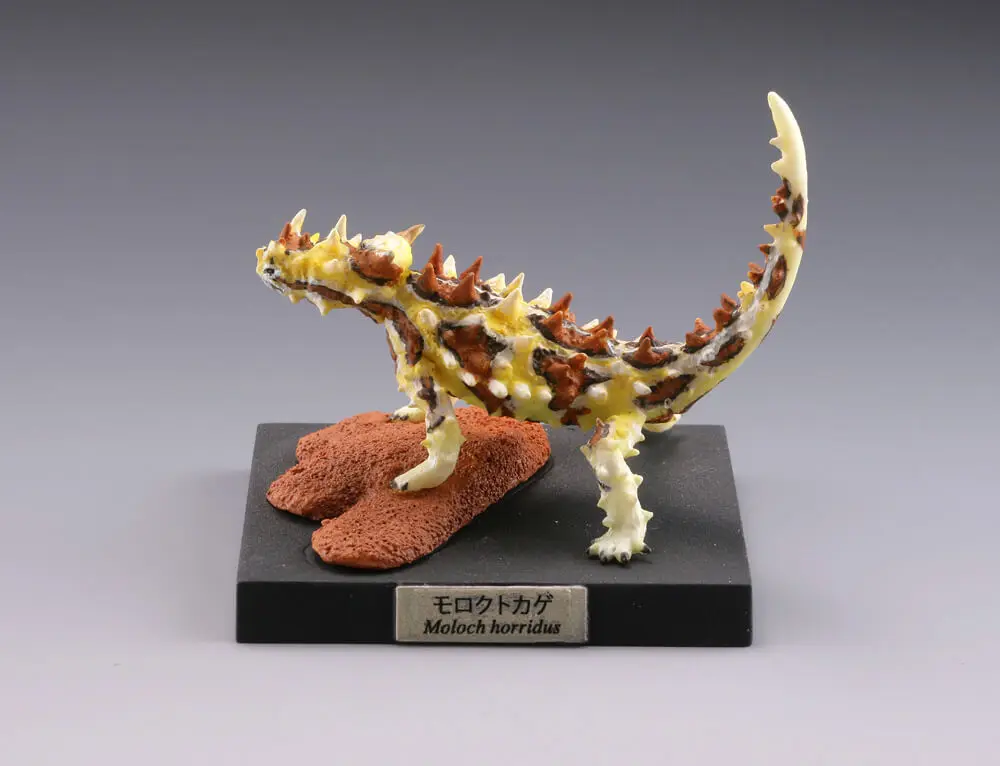 Kaiyodooカプセルおもちゃ爬虫類ラウンジ恐竜トカゲmolochhorridusモデルおもちゃ装飾コレクション Null Aliexpress Kaiyodooカプセルおもちゃ爬虫類ラウンジ恐竜トカゲmolochhorridusモデルおもちゃ装飾コレクション Null Aliexpress