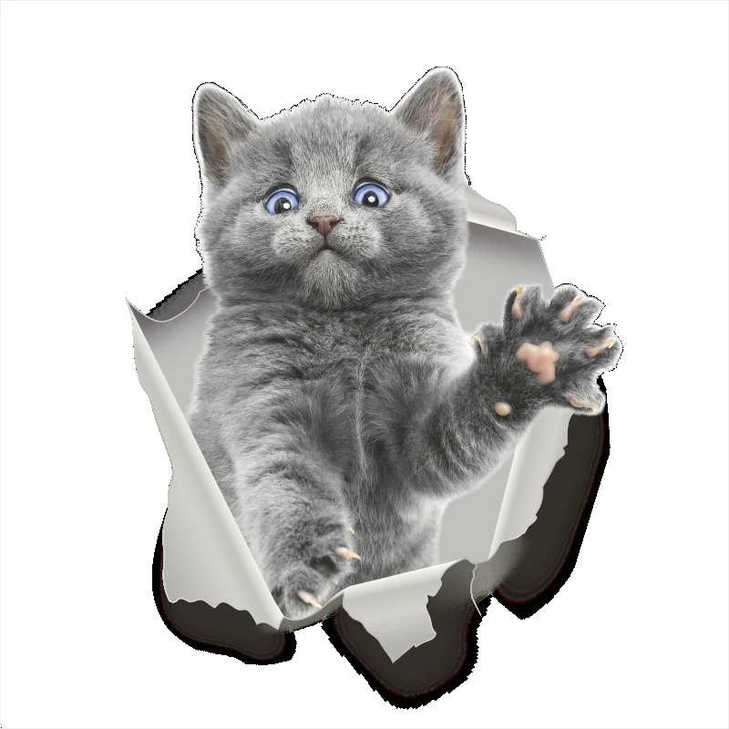 Various Cute Kitten Animal Cartoon Cat Wall Sticker 3D Vivid Baby Kid Room Bathroom Decors Peel & Stick Toilet | Дом и сад