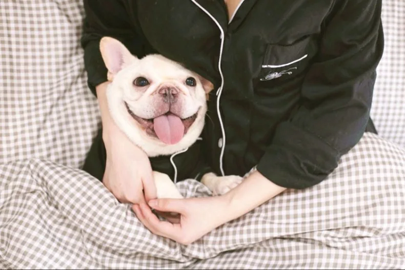 11752053202_695175948