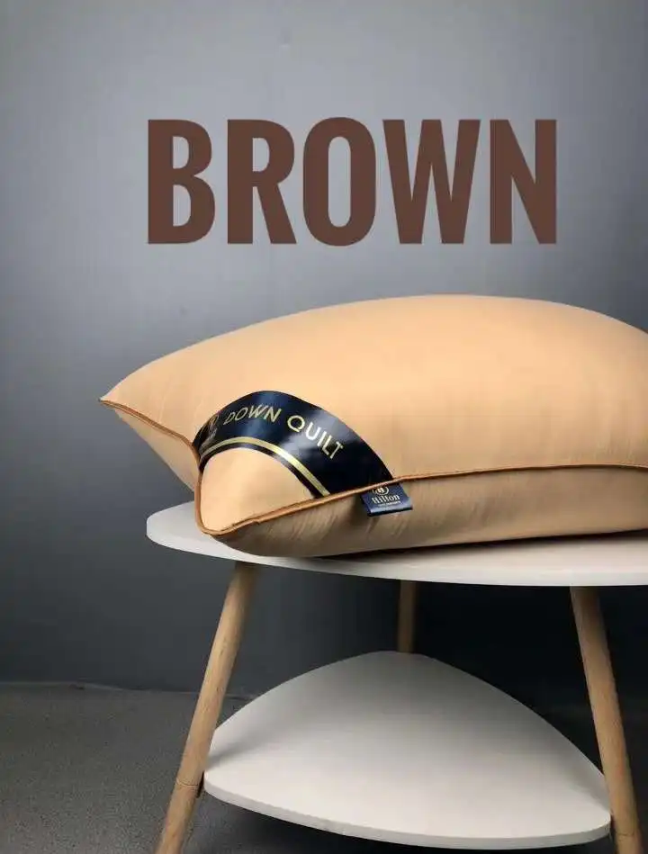 Brown Anti-Feather Down Pillow