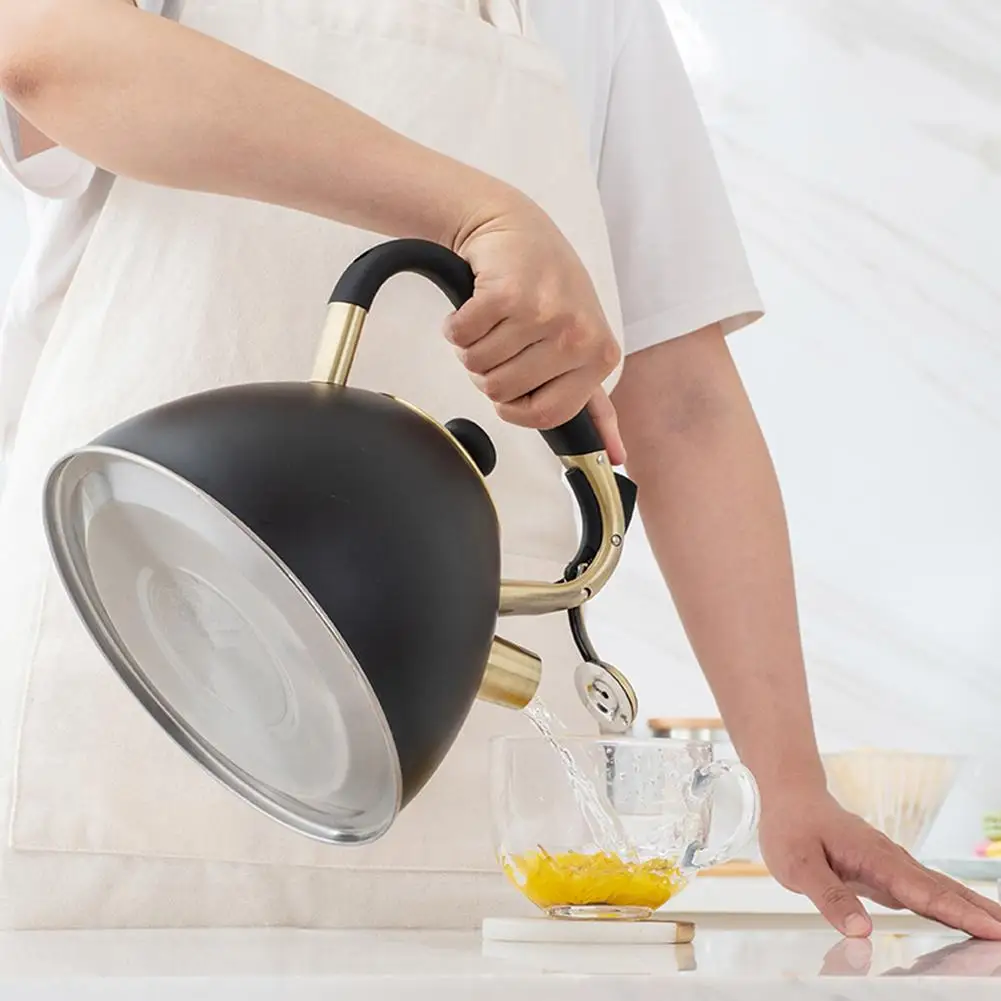 Stovetop kettle on gas stove