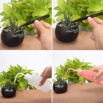 

12/16pcs Succulent Planting Tools Mini Garden Hand Tools Miniature Garden Planting Transplanting Tool Set