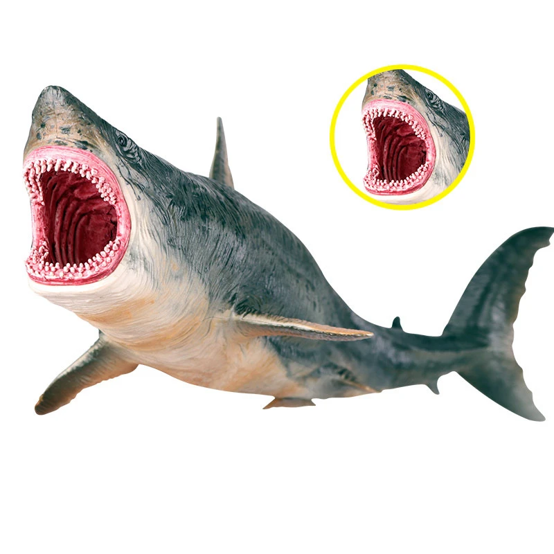 Megalodon Model Toys Hot Movie Megalodon Sea Life Marine Animals Whale Shark Action Figure Pvc Ocean Animal Toys For Kids Gift Action Figures Aliexpress