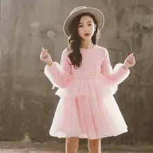 Новое зимнее платье принцессы для девочек с бархатным и плотным корейским сетчатым платьем