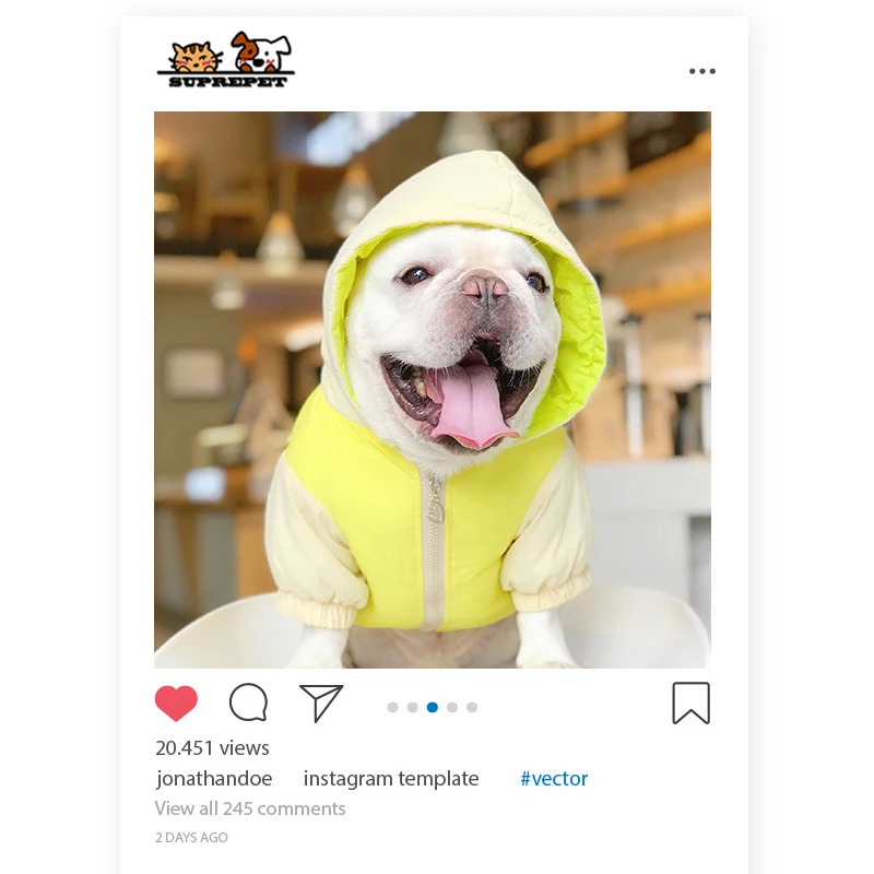 SUPREPET собака кошка осенне зимняя одежда щенок теплая толстовка куртка для