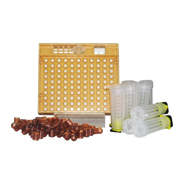 Nicot Queen Set