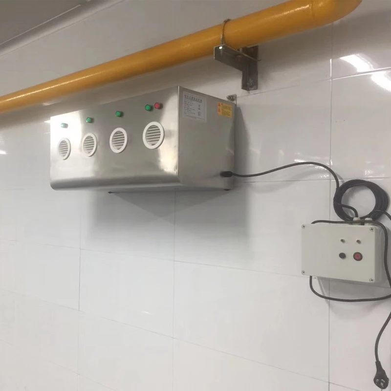 20g unique ozone machine (3)