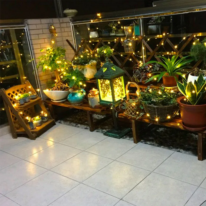 9024768928_691979838