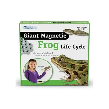 

Giant Magnetic Frog Life Cycle Demonstration Set educational quality material