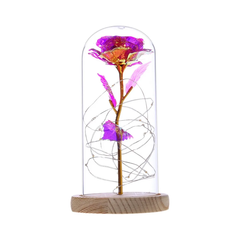 IMG_5591(20191220-165309)