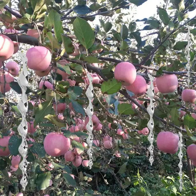 6/8Db Forgó Fényvisszaverő Rúd Madár -Visszatelepítő Környezetvédelmi Ijesztő Szerszám Kis Tartós Madarak Galambok Verébekhez - Image 4