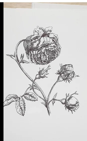 {34Q19AEAA@1U}NF)~$Z(XC