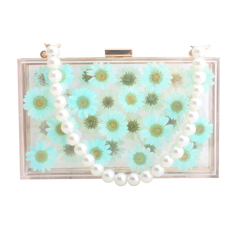 acrylic clear purse