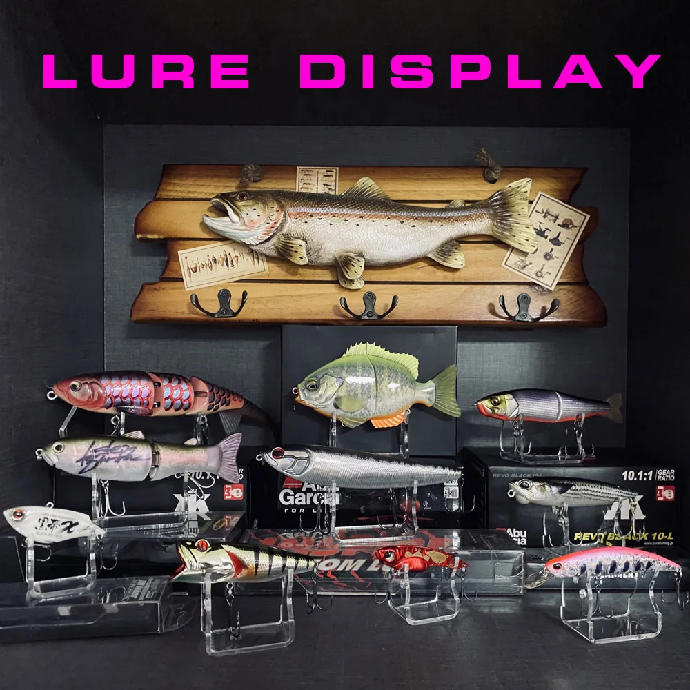 Fishing Lure Acrylic Display Stand Shelf Rack Holder Support Storage  Decoration - AliExpress