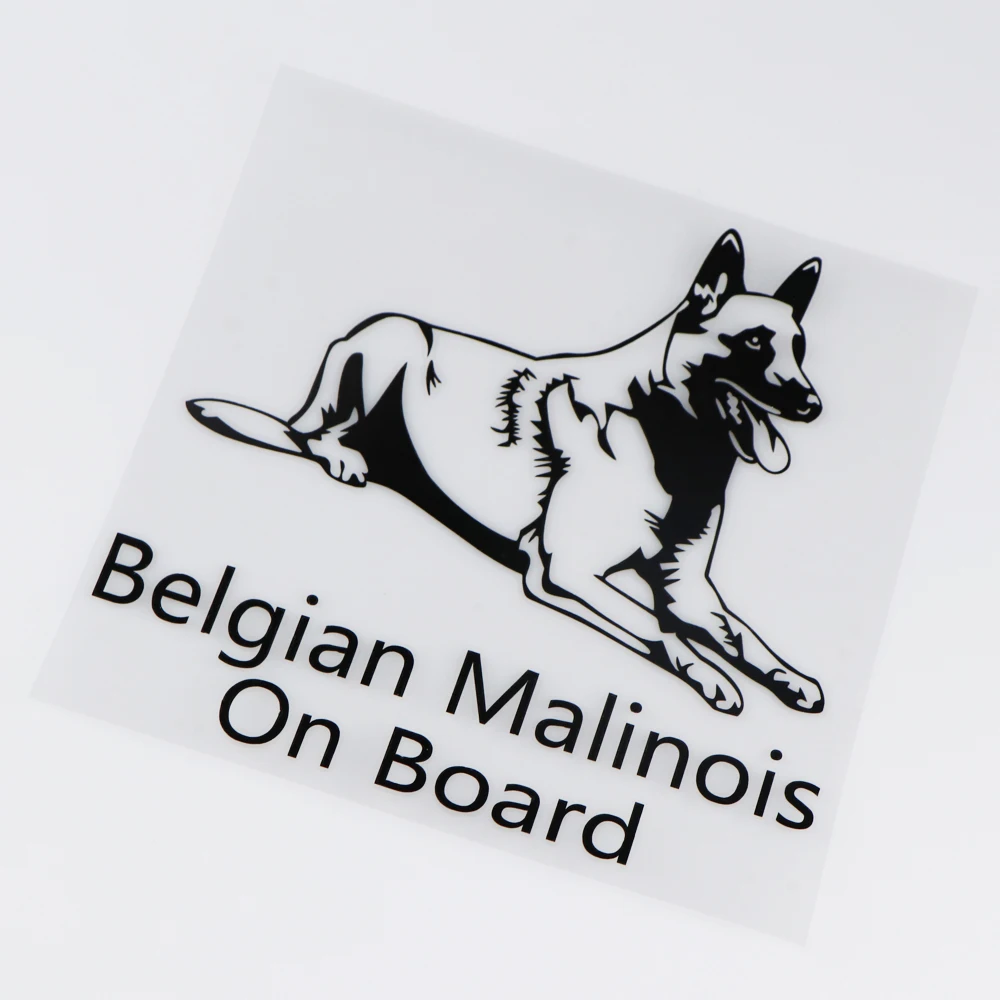 YOJA 16X15.1CM Belgian Shepherd Malinois на доске Виниловая Наклейка Декор автомобиля стикер ZT2