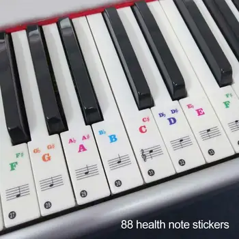 

Color Piano Keyboard Stickers 49/61/76/88 Key Keyboards Transparent Detachable Music Decal Notes Electronic Piano Spectrum Stick