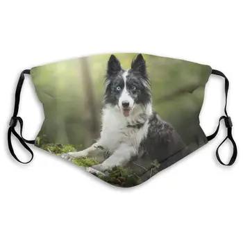 

Dogs Border Collie Glance Moss Washable Reusable Mask, Anti Dust Half Face Mouth Mask For Kids Teens Men Women With Adjustable