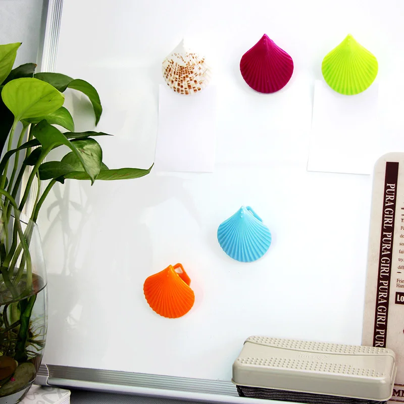 Magnet-Button-Shell-Clip-Magnetic-Particle-Whiteboard-Magnet-Magnetic-Refrigerator-Stickers-Multicolored-Magnetic-Ticket-Buckle (1)
