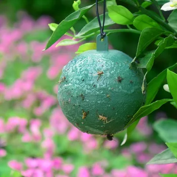 

Luring Fly Ball Balsam Pear Passion Fruit Tree Sticker Fruit Fly Insect Sticky Needle Bee Fruit Fly Trapper trap pest control