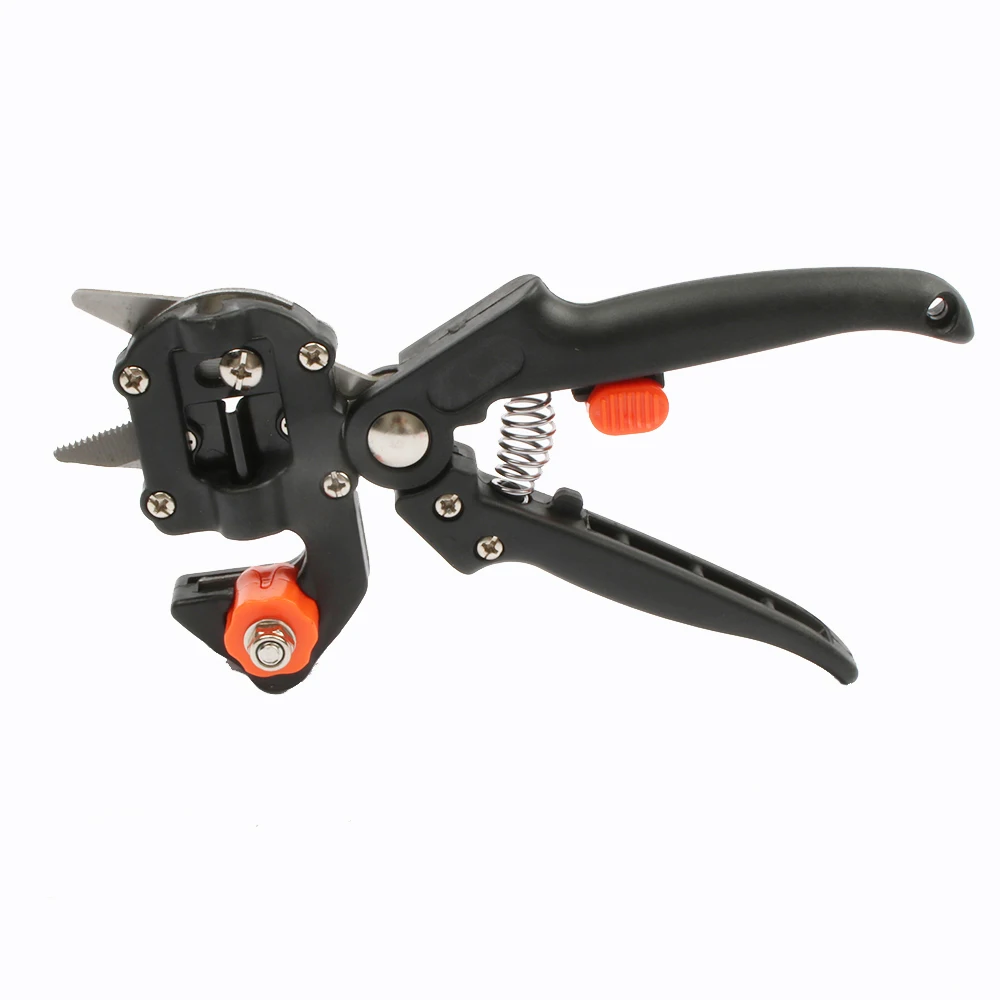 HTB1_OtOhuuSBuNjSsplq6ze8pXar