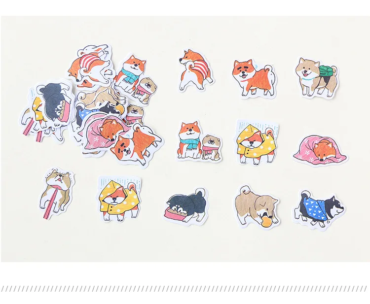 5089756925_577952424