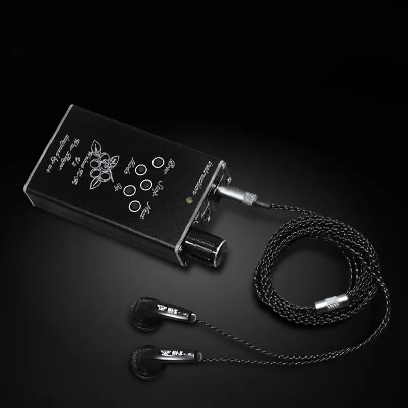 TZT Профессиональный V2s без потерь MP3 HiFi музыкальный плеер английские голосовые подсказки орех Поддержка 32 Гб TF карта